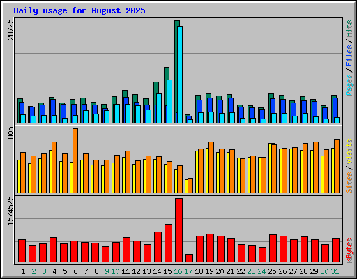 Daily usage for August 2025