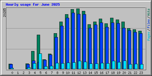 Hourly usage for June 2025