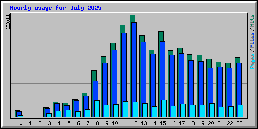 Hourly usage for July 2025