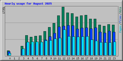 Hourly usage for August 2025