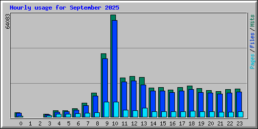 Hourly usage for September 2025