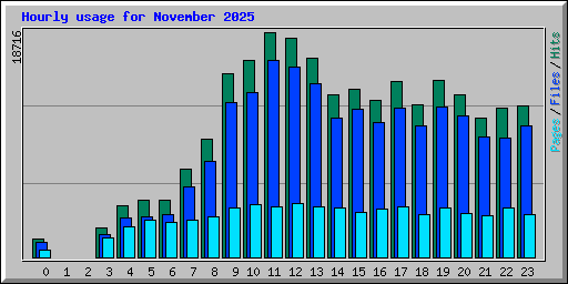 Hourly usage for November 2025