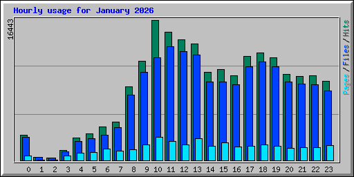 Hourly usage for January 2026